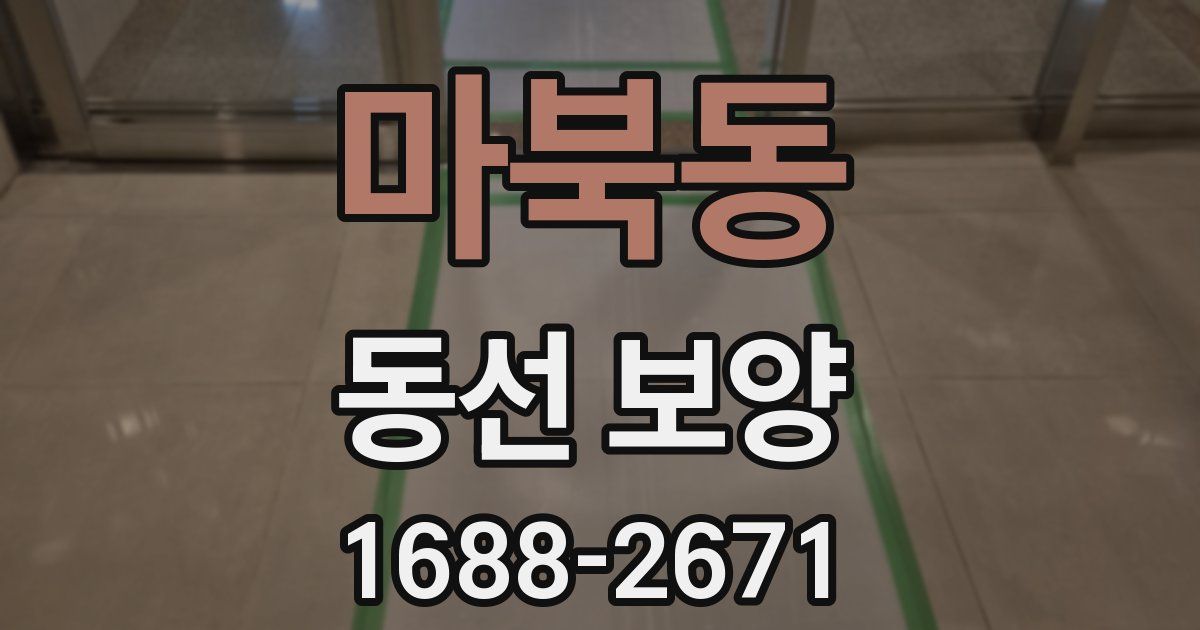 마북동 동선 보양