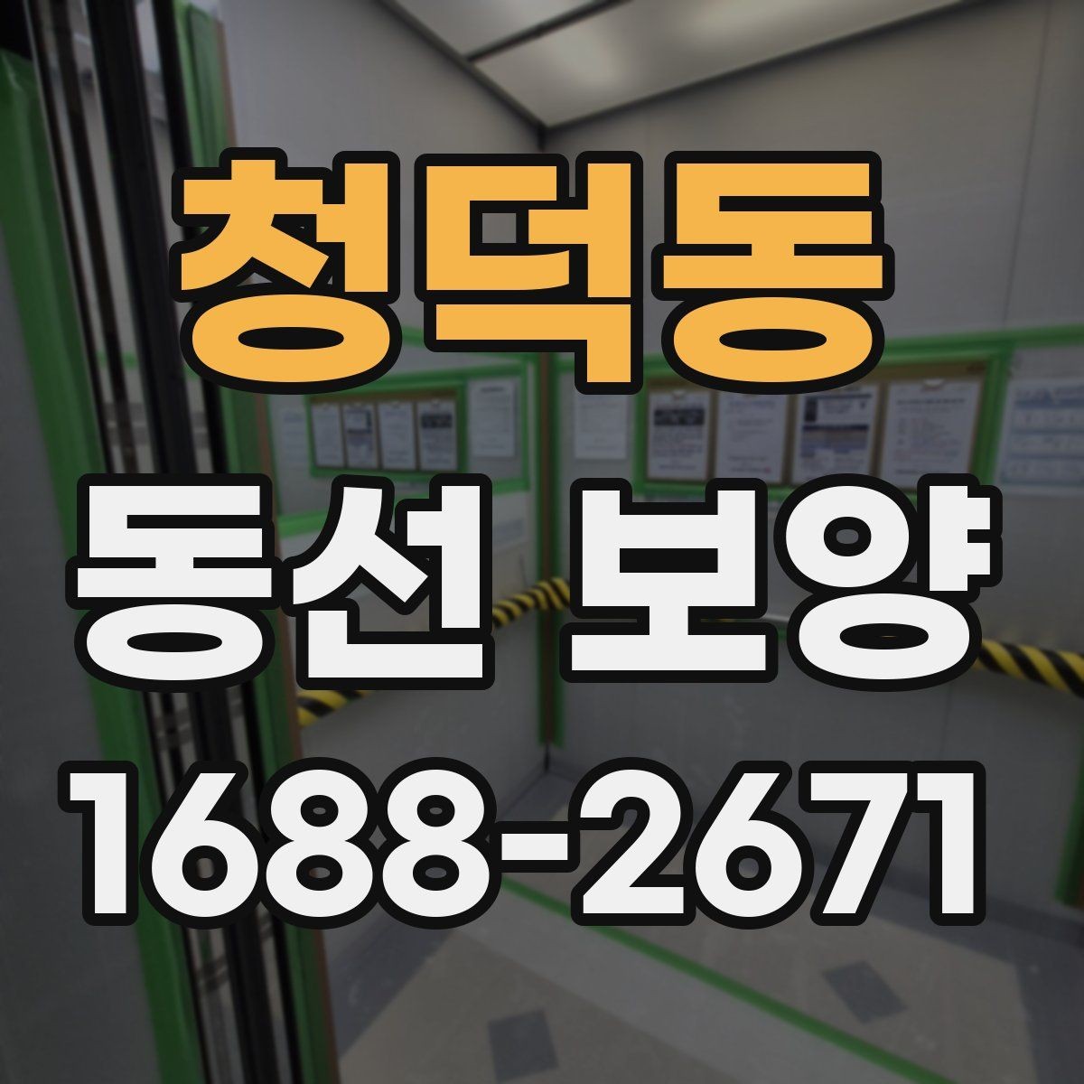 청덕동 동선 보양 재료별 특징과 적용 상황