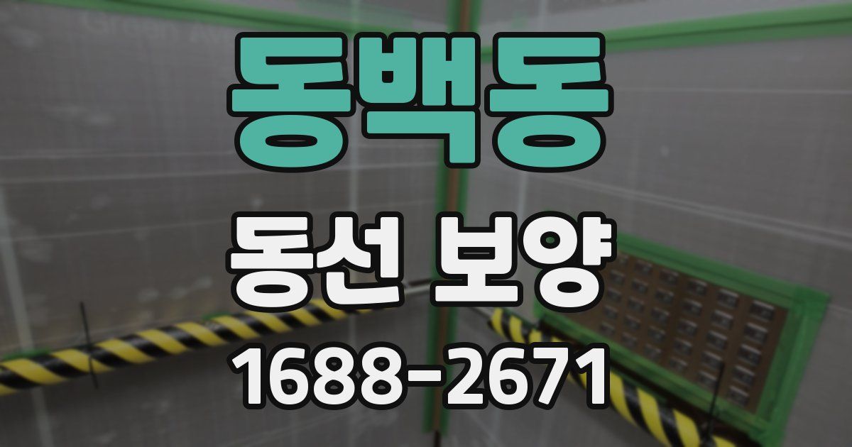 동백동 동선 보양