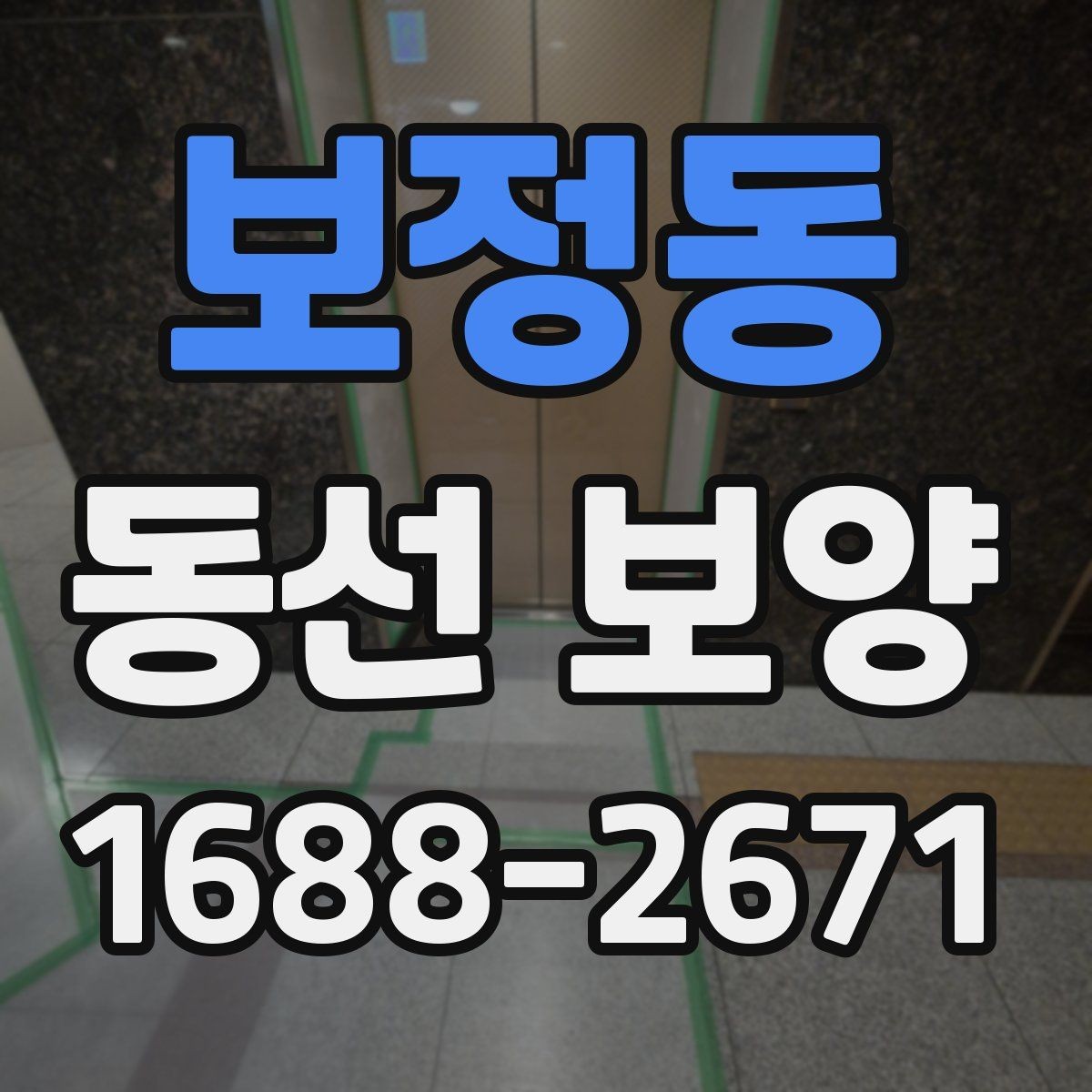 보정동 동선 보양 현장에 맞는 일정 조율 방법