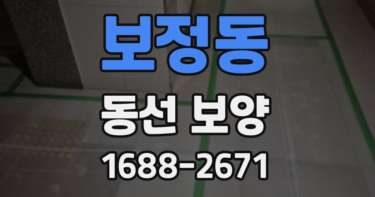 보정동 동선 보양