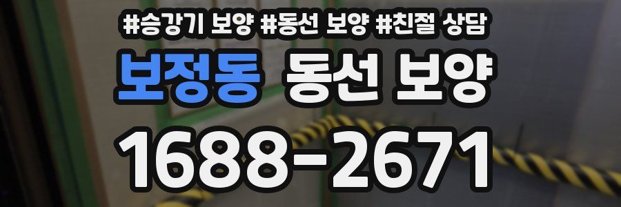 보정동 동선 보양