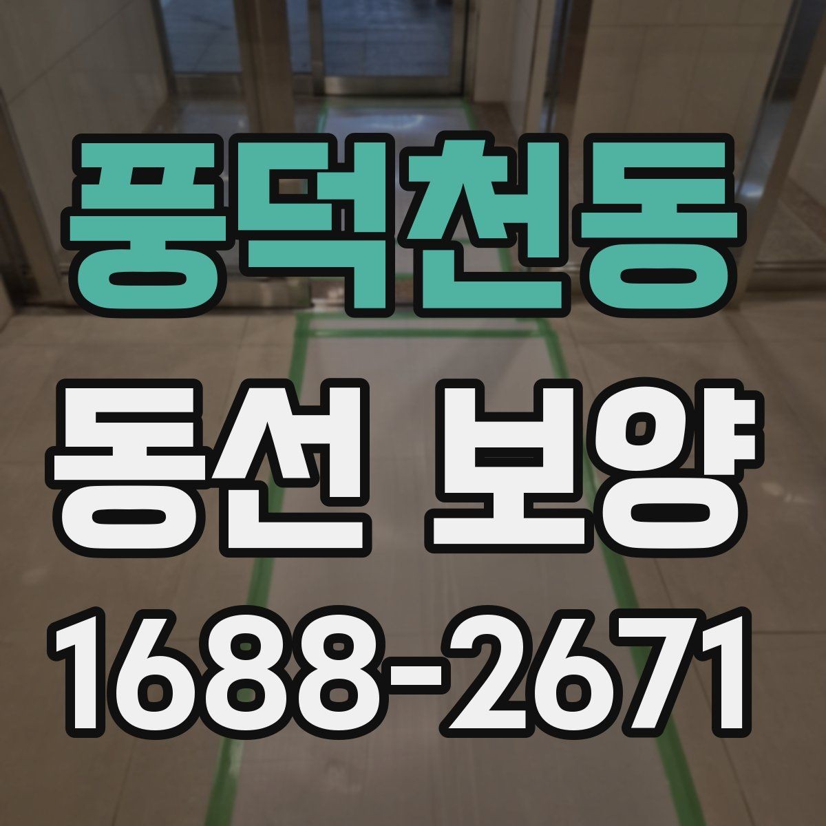 풍덕천동 동선 보양 업체를 볼 때 확인할 기준