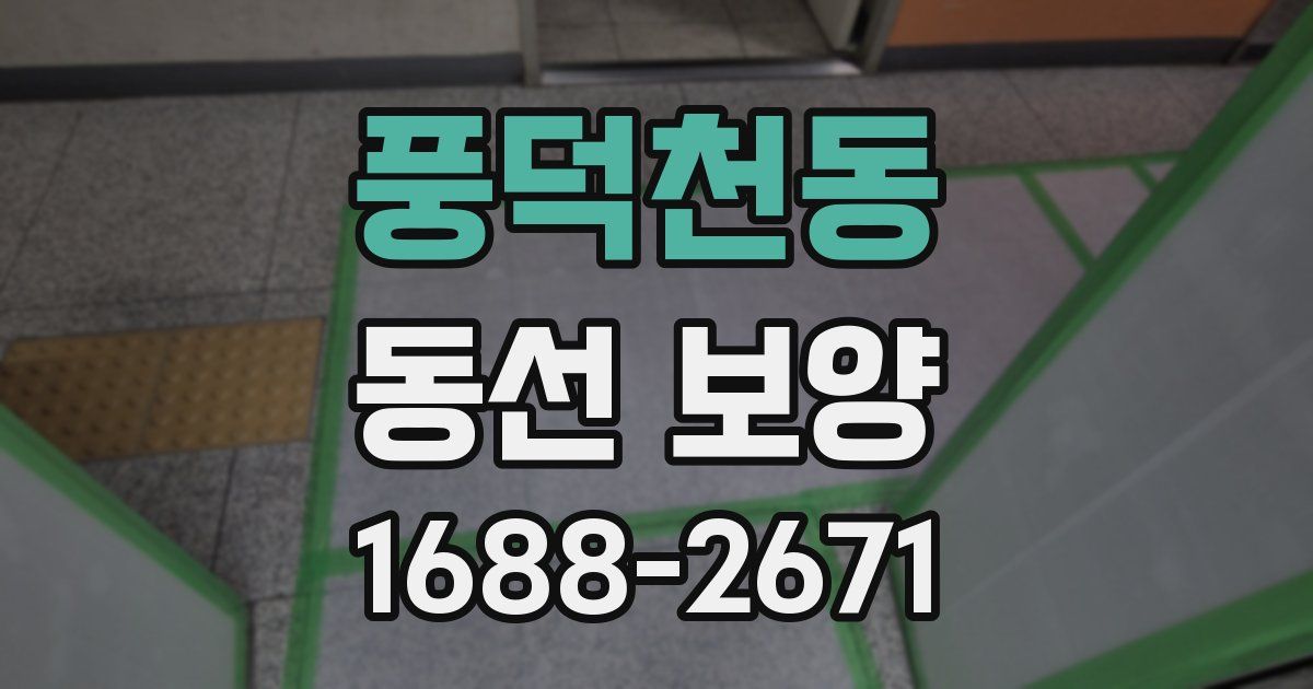 풍덕천동 동선 보양