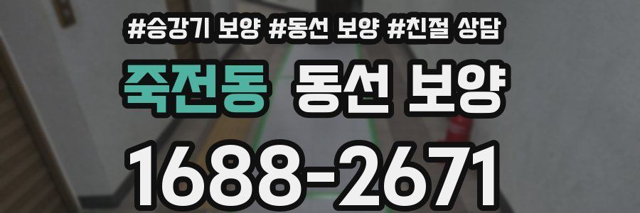 죽전동 동선 보양