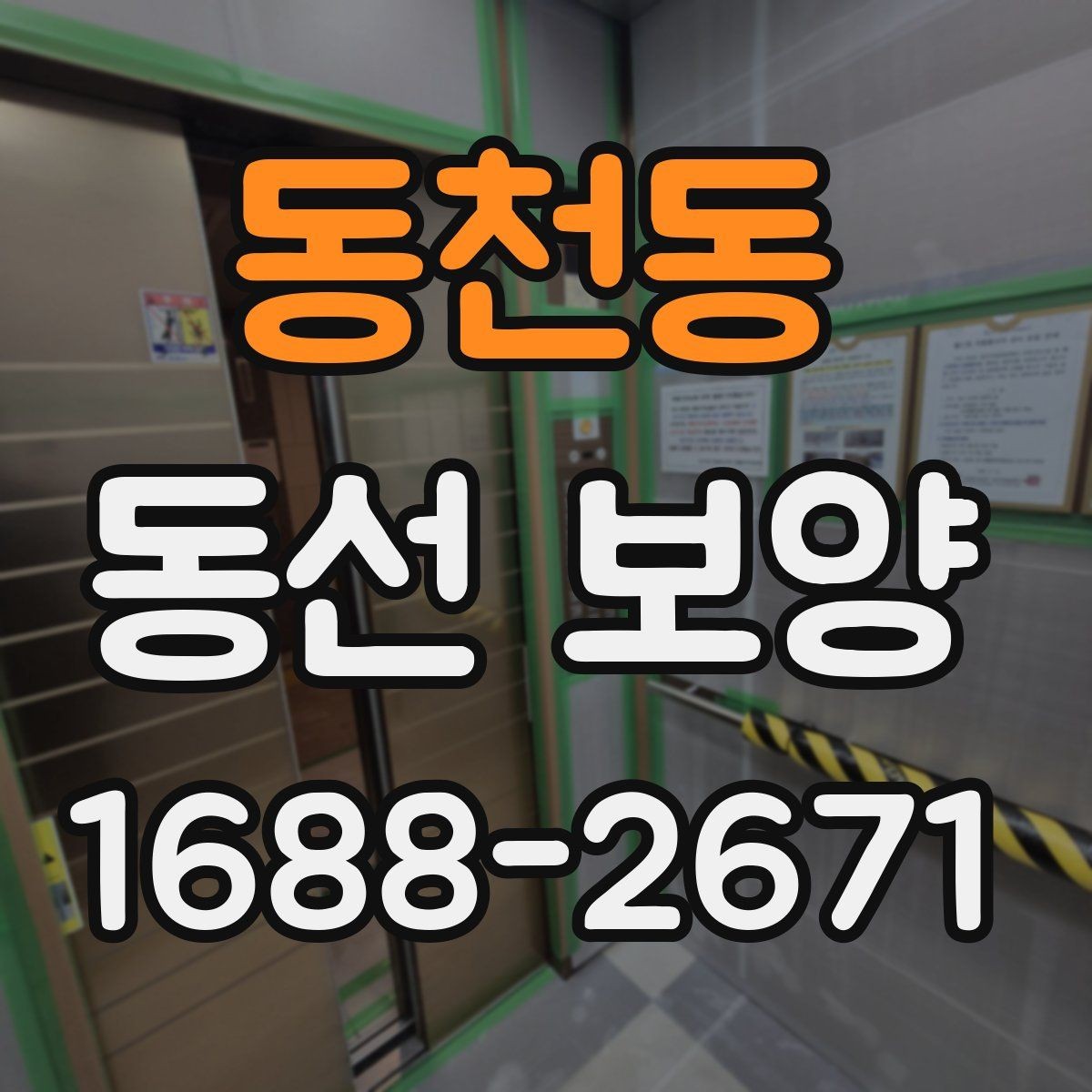 동천동 동선 보양 선택 시 품질과 비용을 함께 보는 법