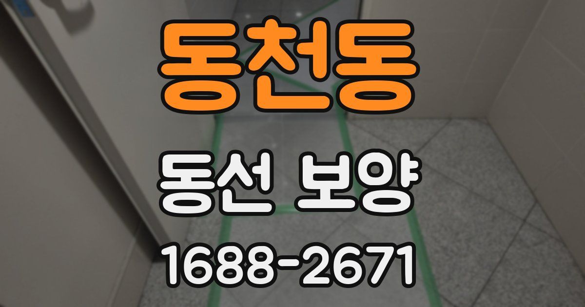동천동 동선 보양