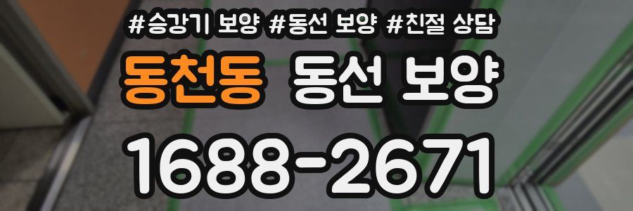 동천동 동선 보양