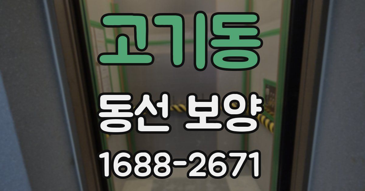 고기동 동선 보양