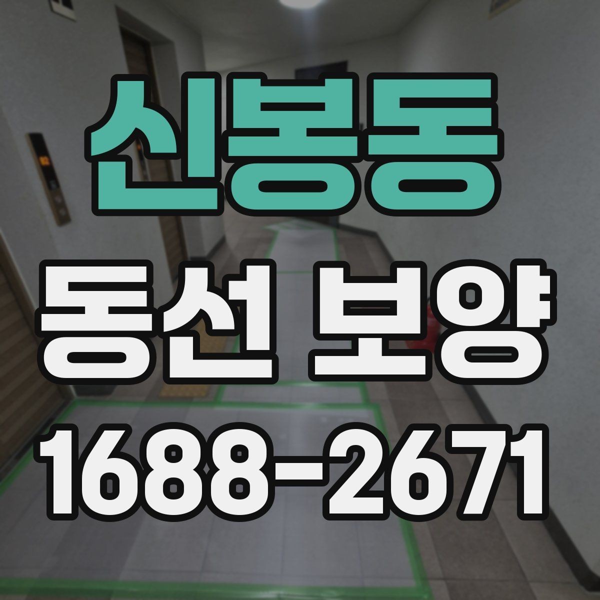 신봉동 동선 보양 관리에서 반복 실수를 줄이는 법
