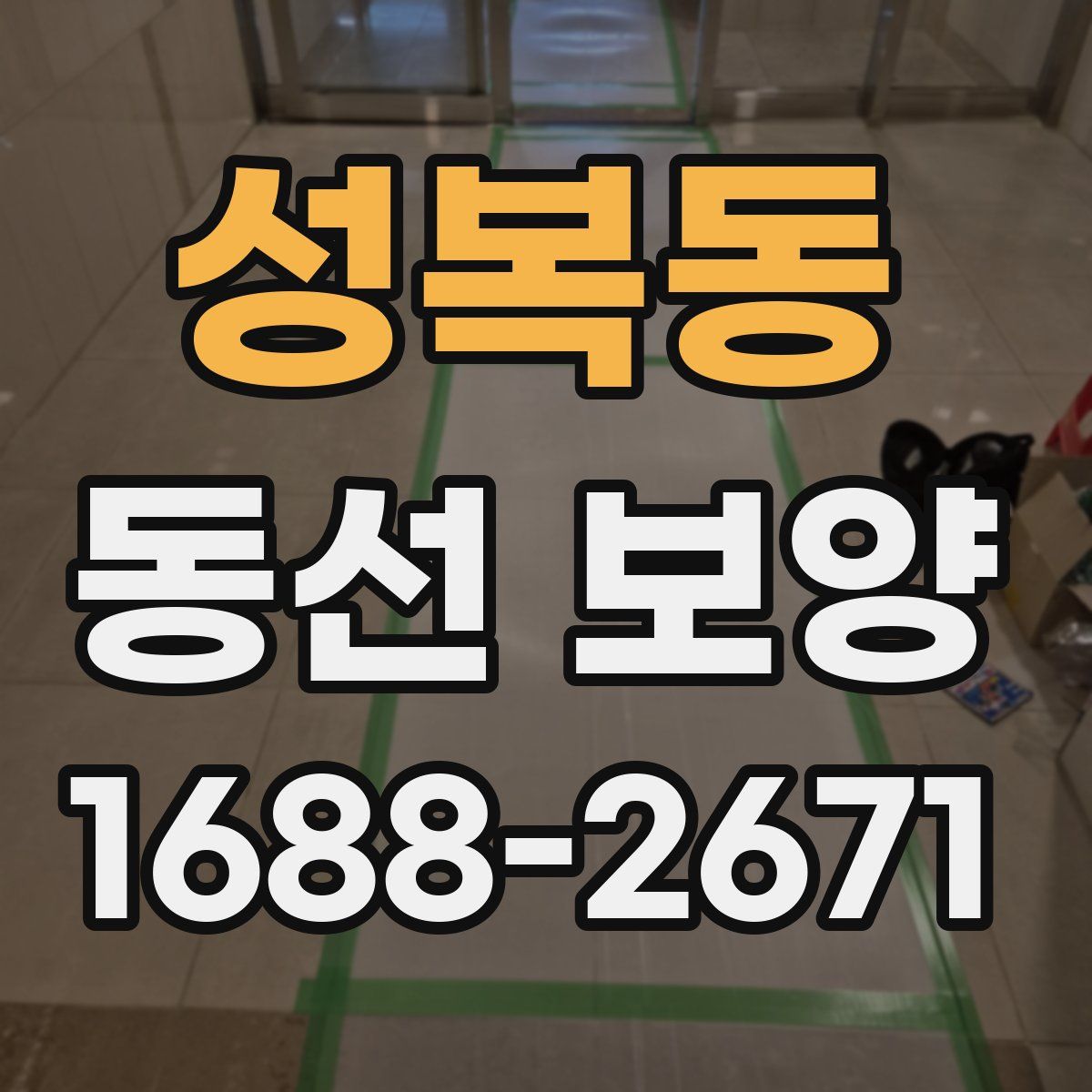 성복동 동선 보양