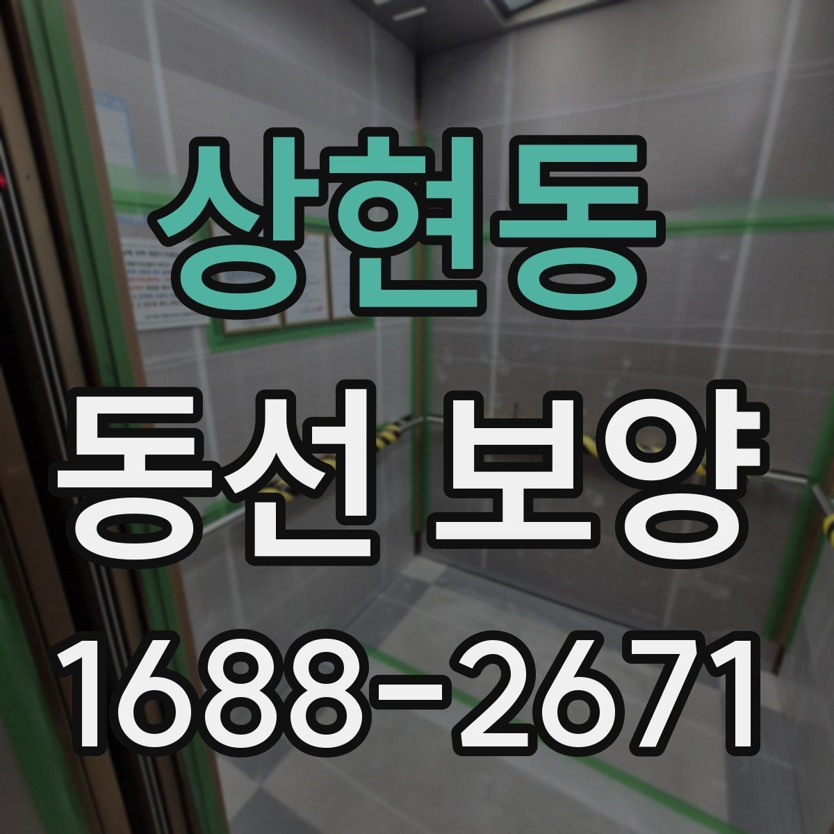 상현동 동선 보양 자재별 특징과 활용 방법