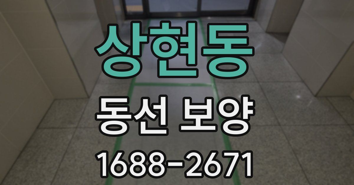상현동 동선 보양