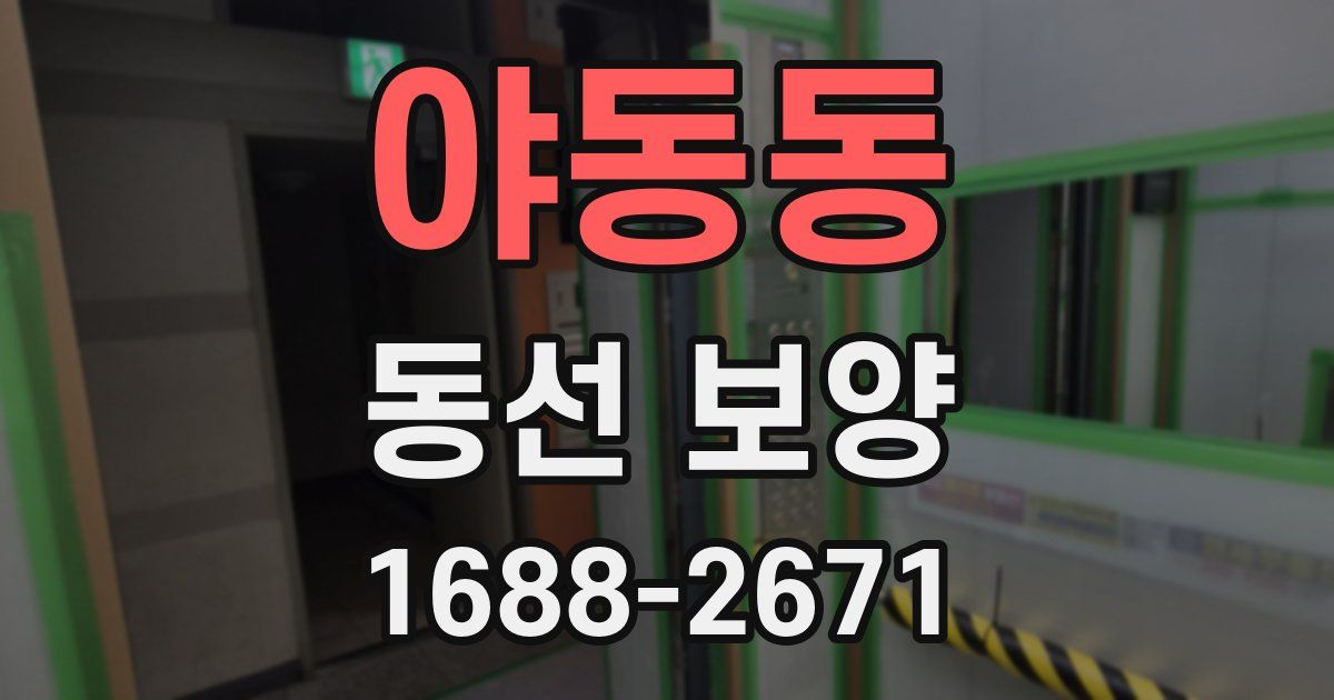 야동동 동선 보양