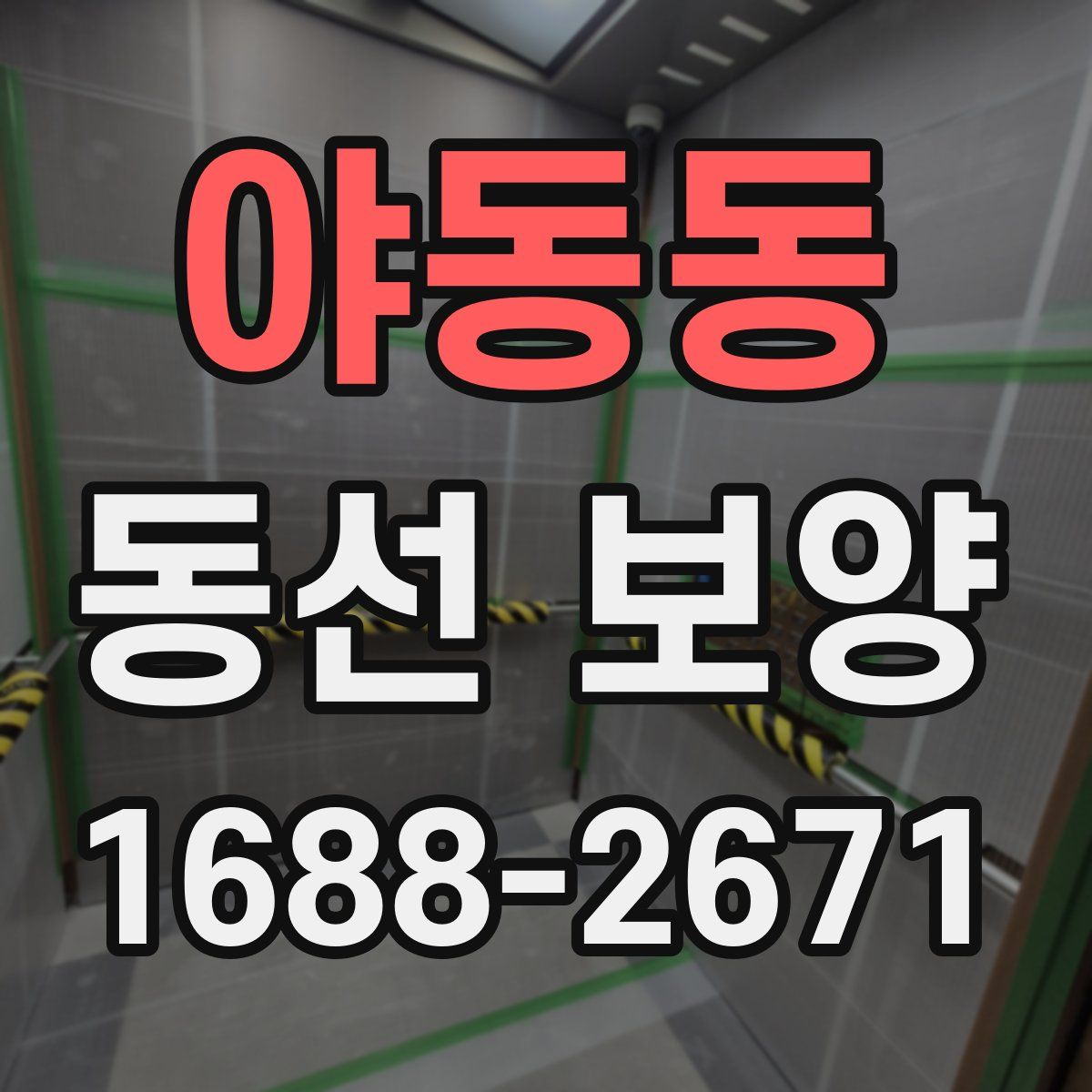 야동동 동선 보양