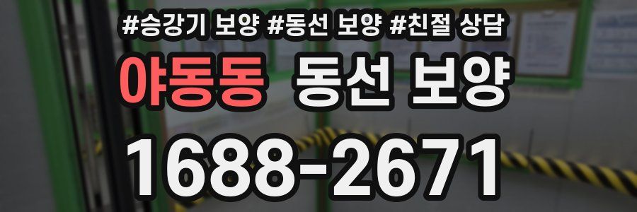 야동동 동선 보양