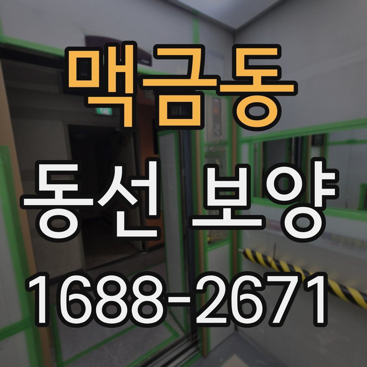 맥금동 동선 보양 실수 줄이는 현장 관리법