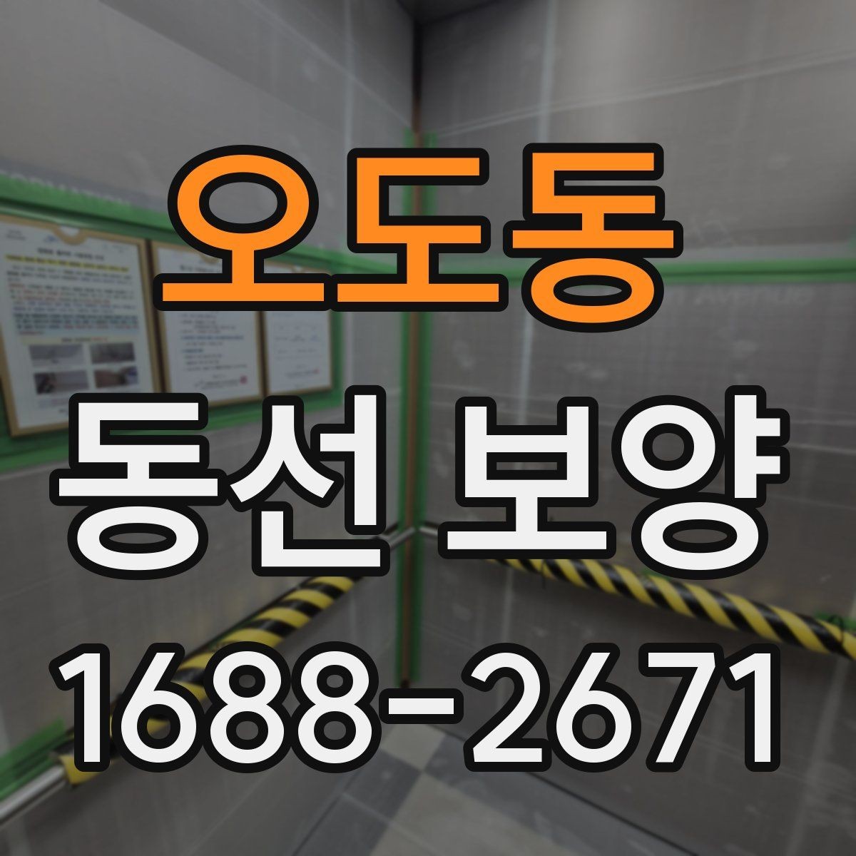오도동 동선 보양 시공 후 점검해야 할 항목