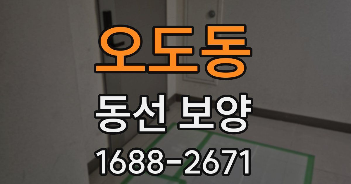 오도동 동선 보양