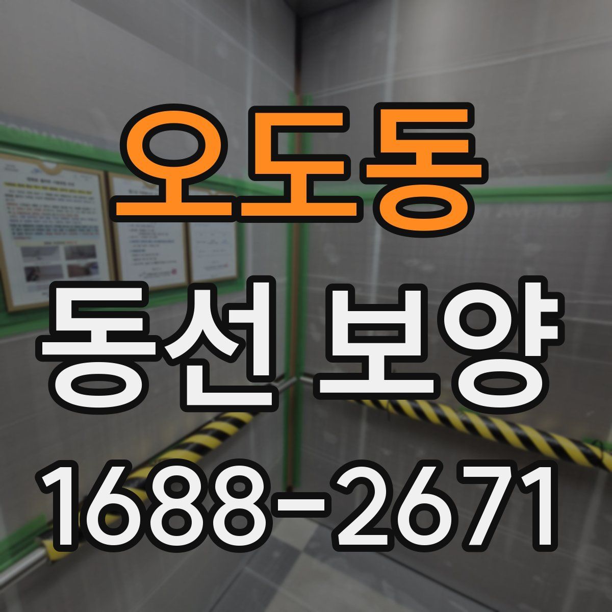 오도동 동선 보양
