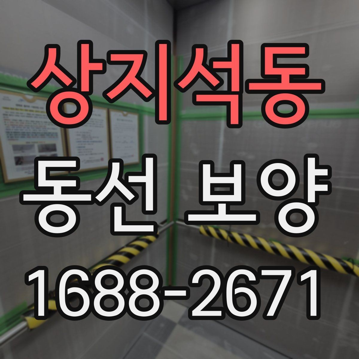 상지석동 동선 보양 작업 범위와 현장 조건을 함께 보는 이유