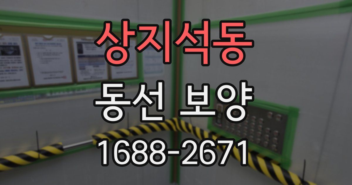 상지석동 동선 보양