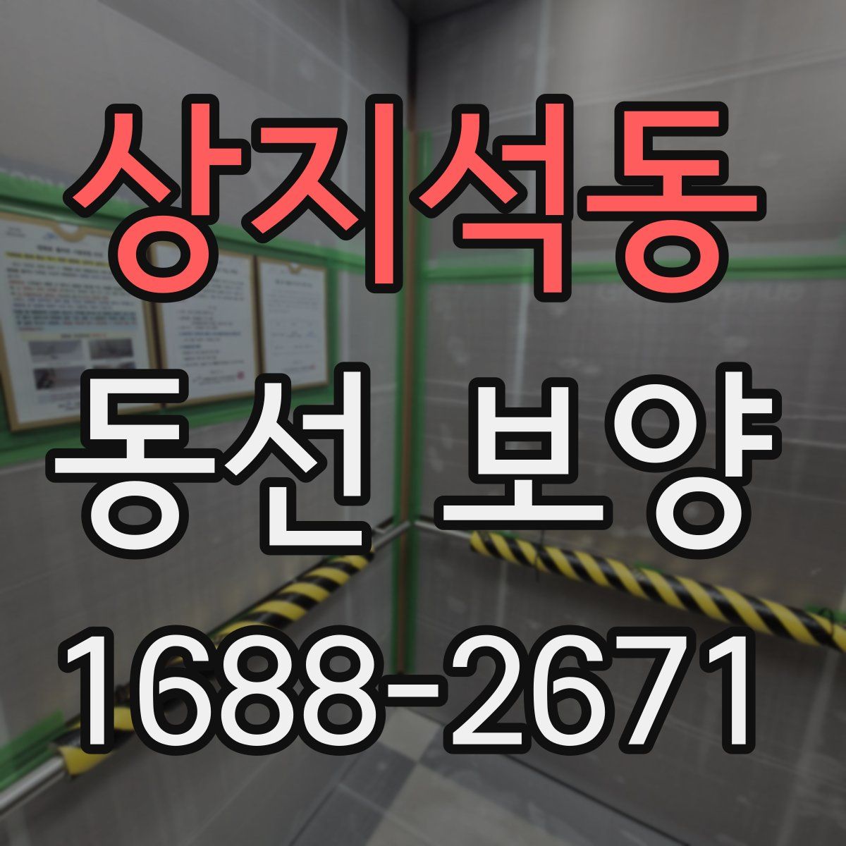 상지석동 동선 보양