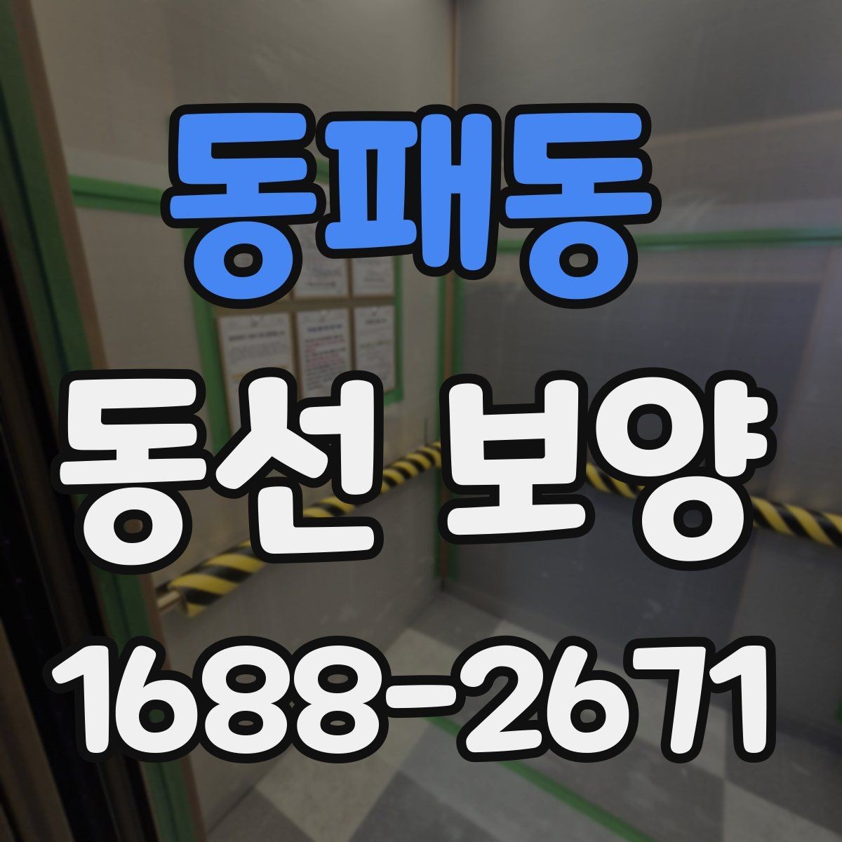 동패동 동선 보양 시 필요한 안전 수칙과 보호 장비
