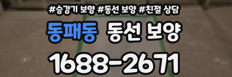 동패동 동선 보양