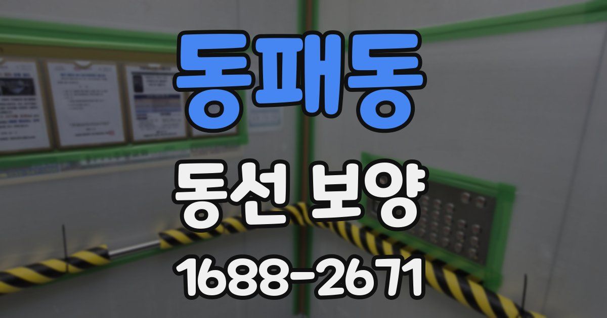 동패동 동선 보양