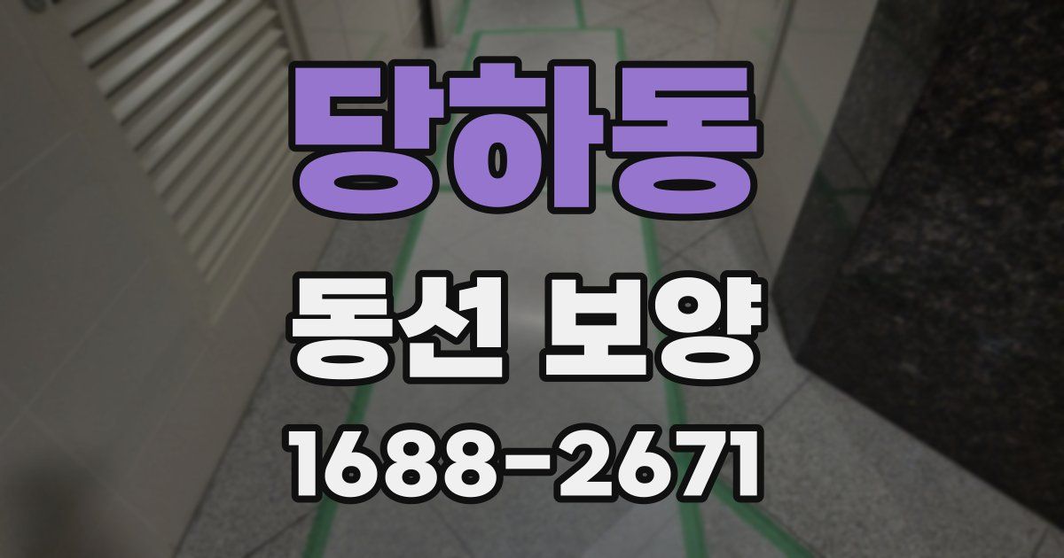 당하동 동선 보양