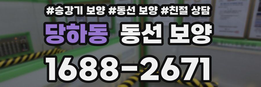 당하동 동선 보양