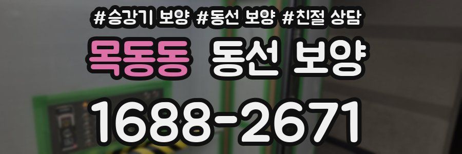 목동동 동선 보양
