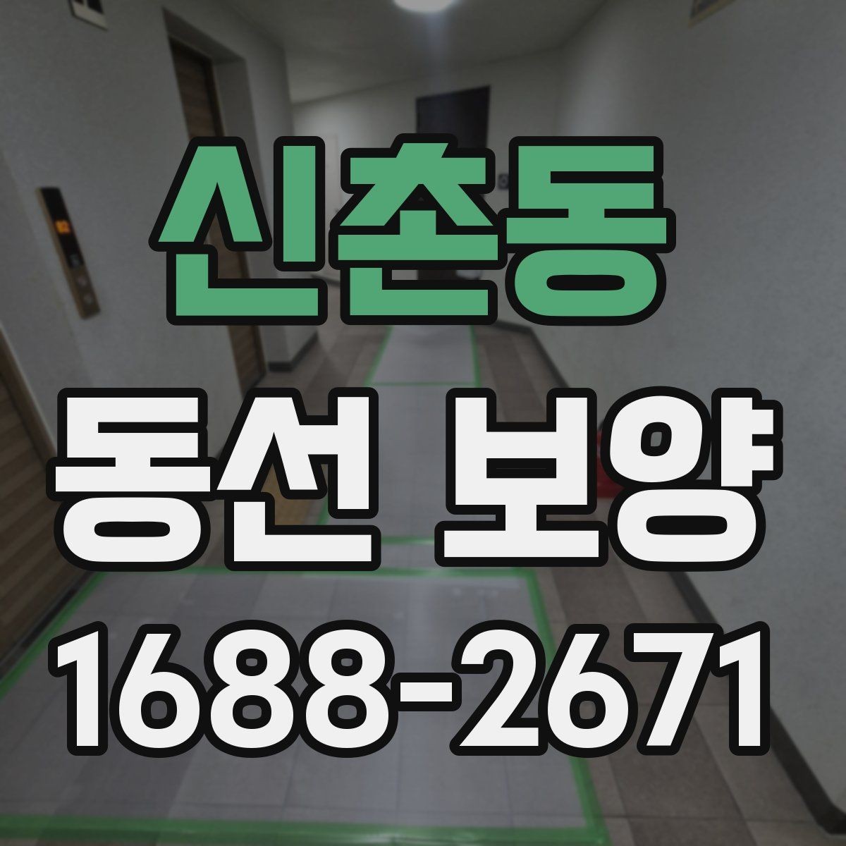 신촌동 동선 보양 작업 시간은 어떻게 정해질까