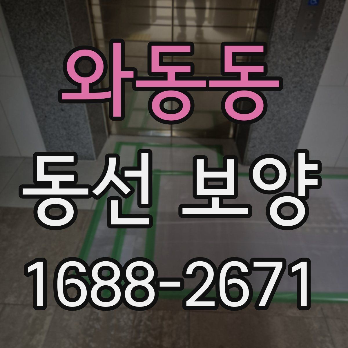 와동동 동선 보양 계획을 세울 때 우선순위 정하기