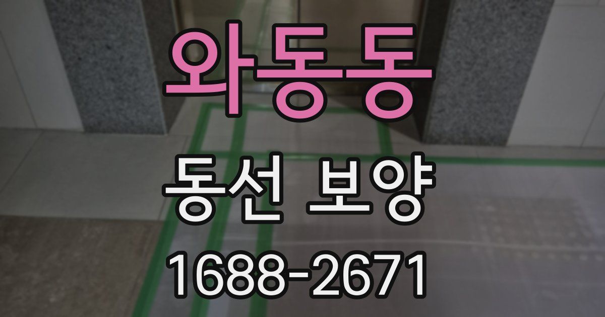 와동동 동선 보양