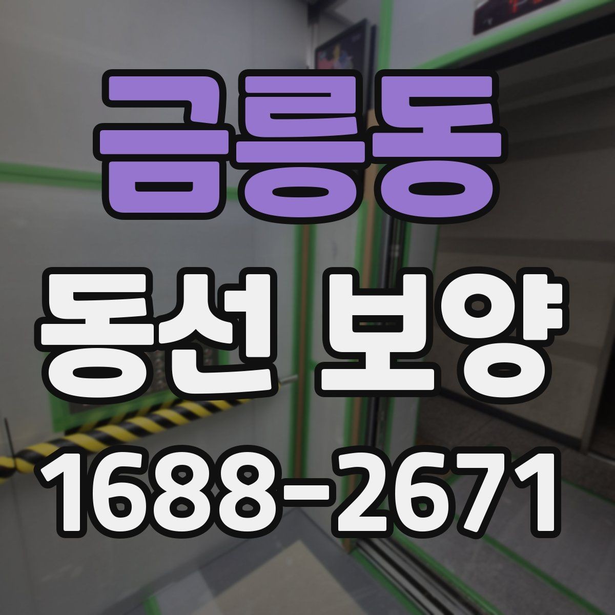 금릉동 동선 보양 공정이 필요한 이유 살펴보기
