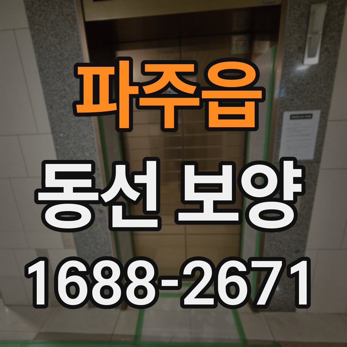 파주읍 동선 보양 진행 시 작업자 간 협업이 중요한 이유