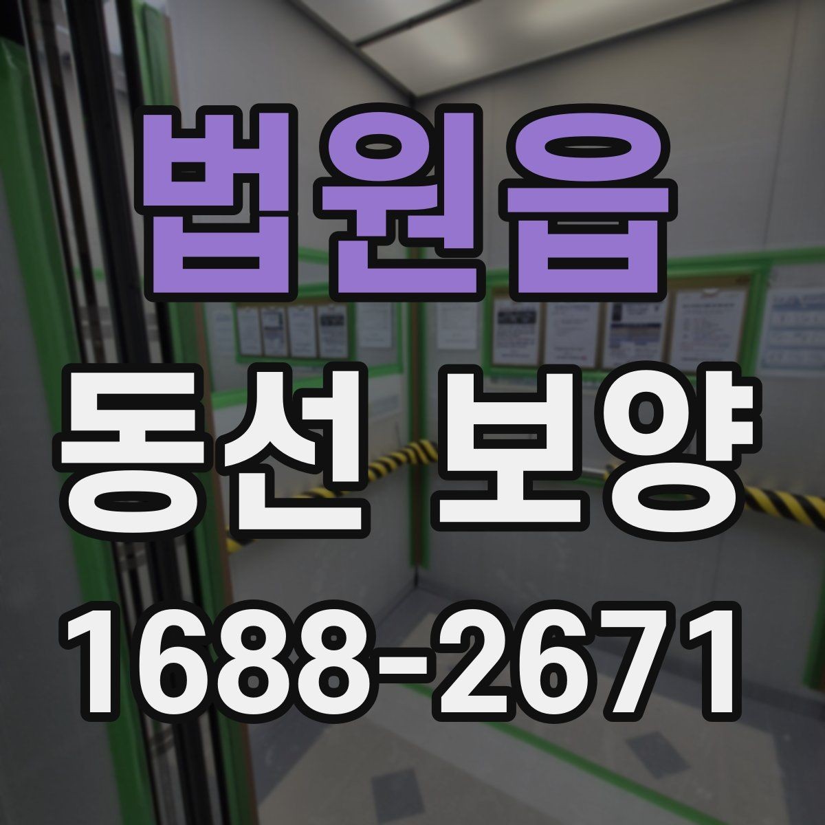 법원읍 동선 보양 공사에서 반복해서 생기는 실수