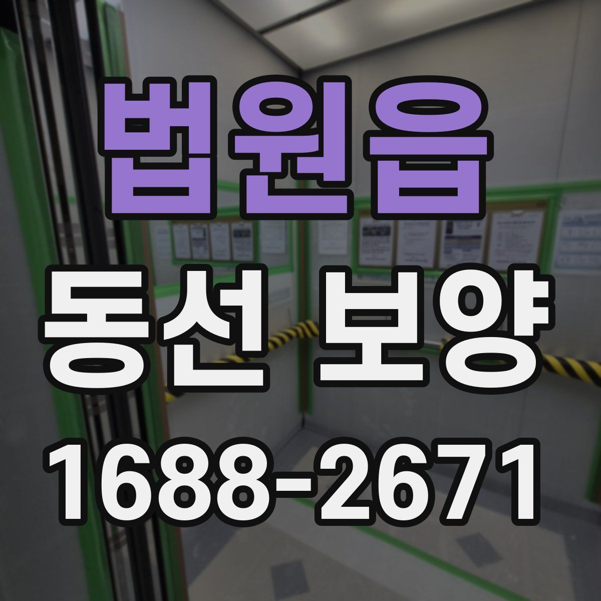 법원읍 동선 보양