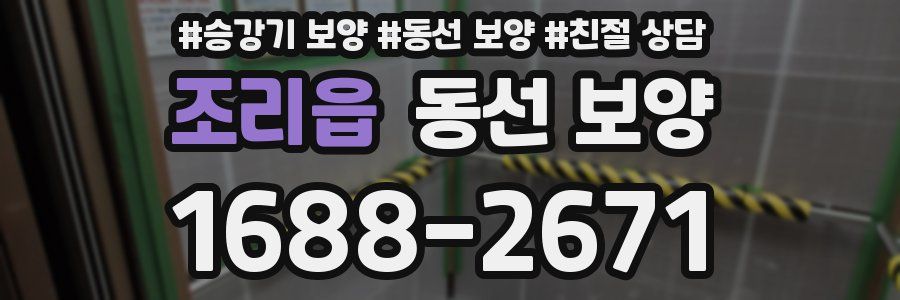 조리읍 동선 보양