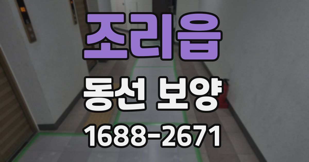 조리읍 동선 보양