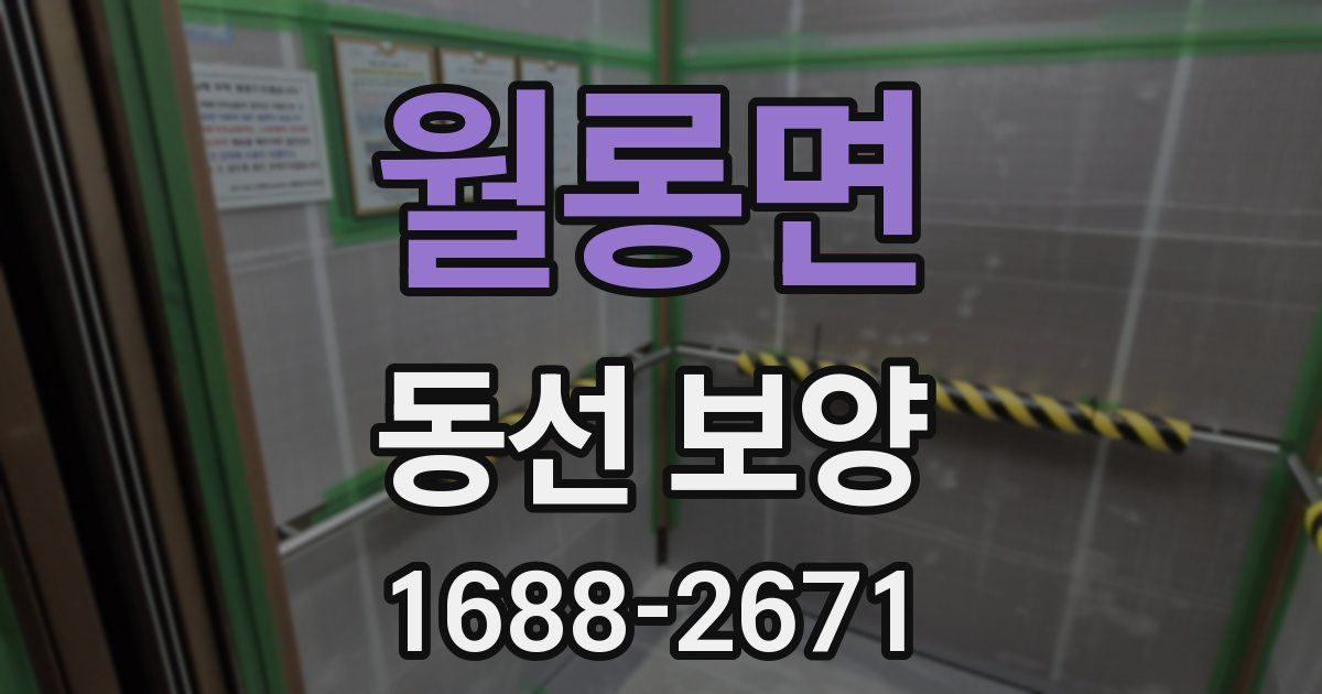 월롱면 동선 보양