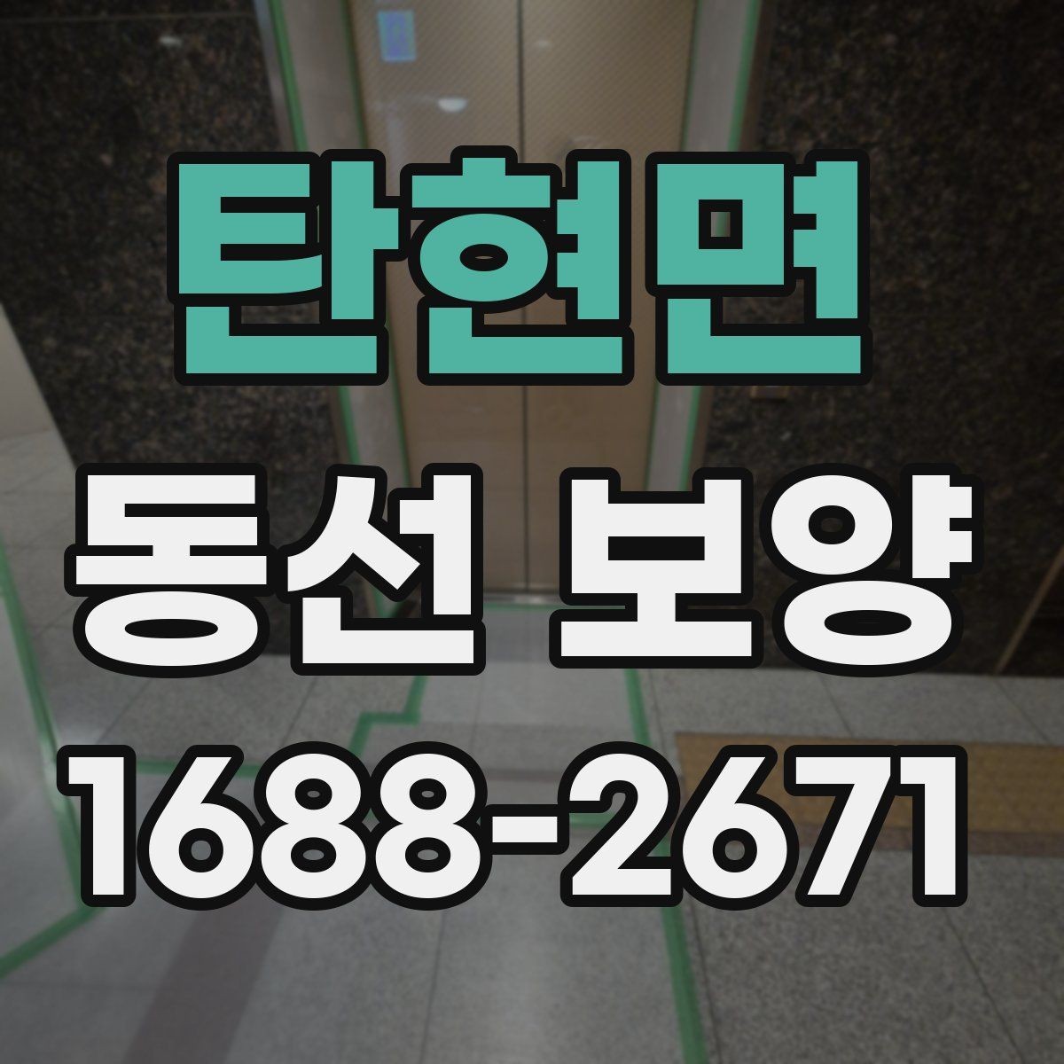 탄현면 동선 보양 작업 전 확인해야 할 공간 상태