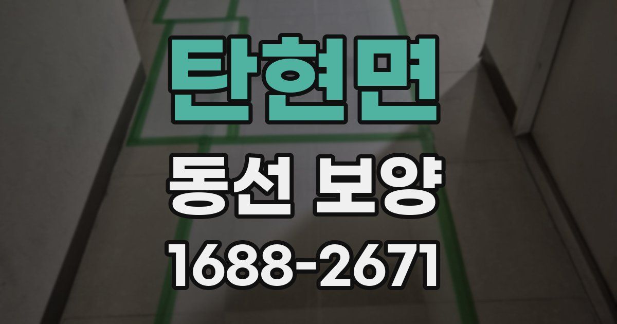 탄현면 동선 보양