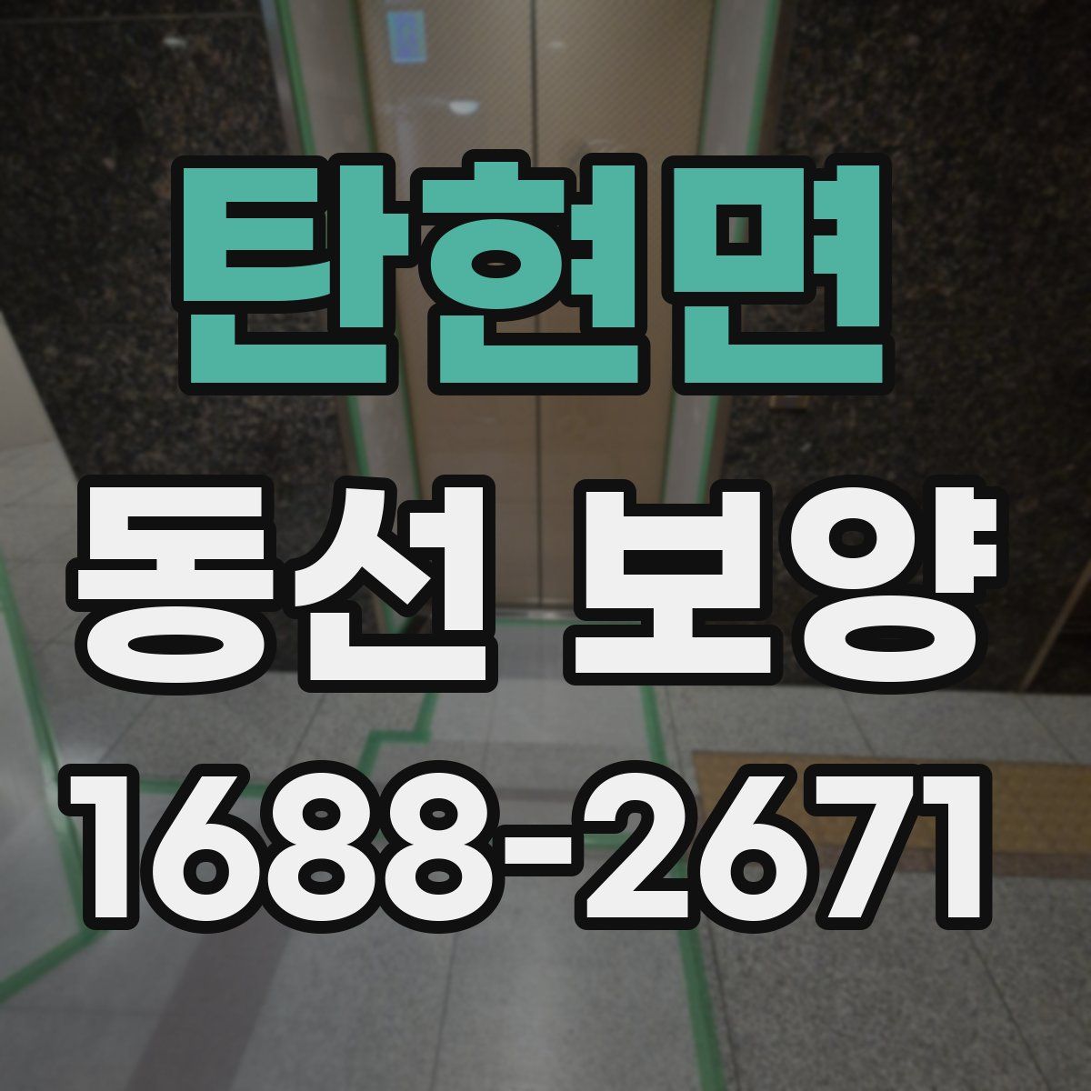 탄현면 동선 보양