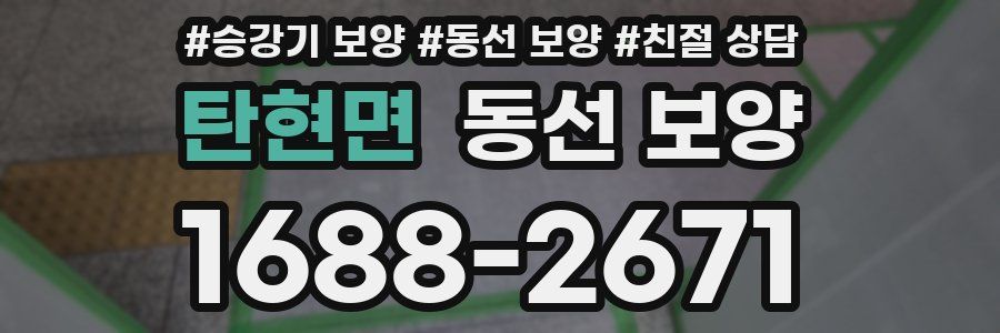 탄현면 동선 보양