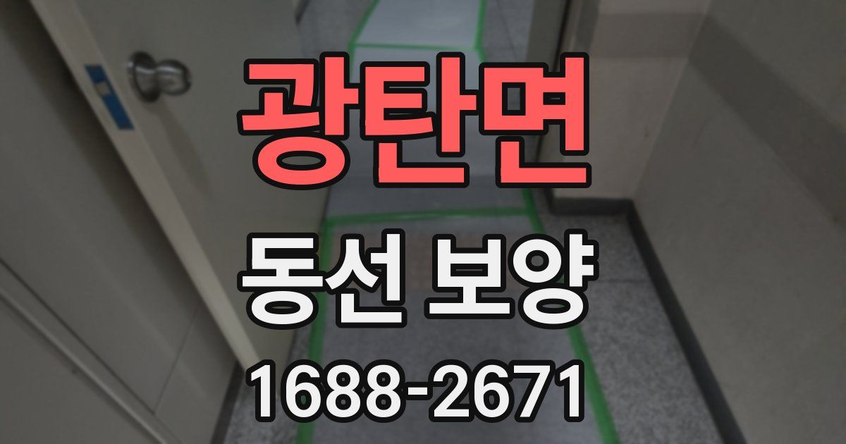 광탄면 동선 보양