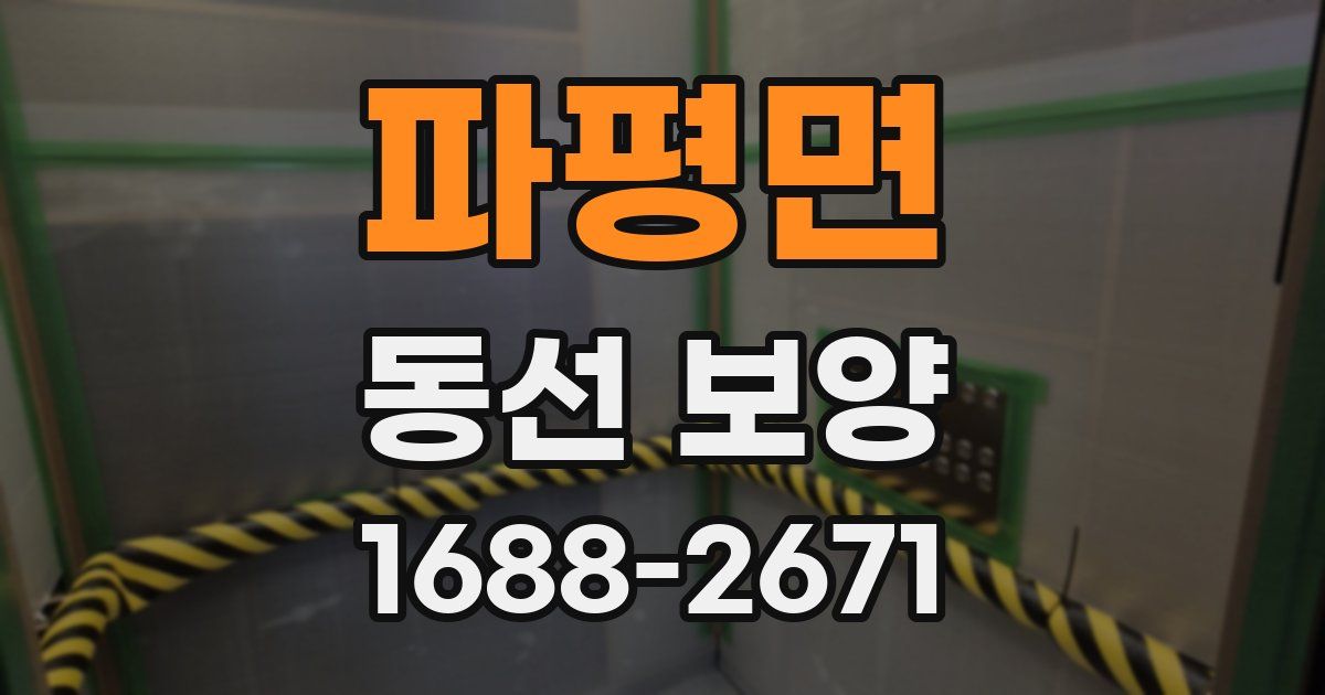 파평면 동선 보양