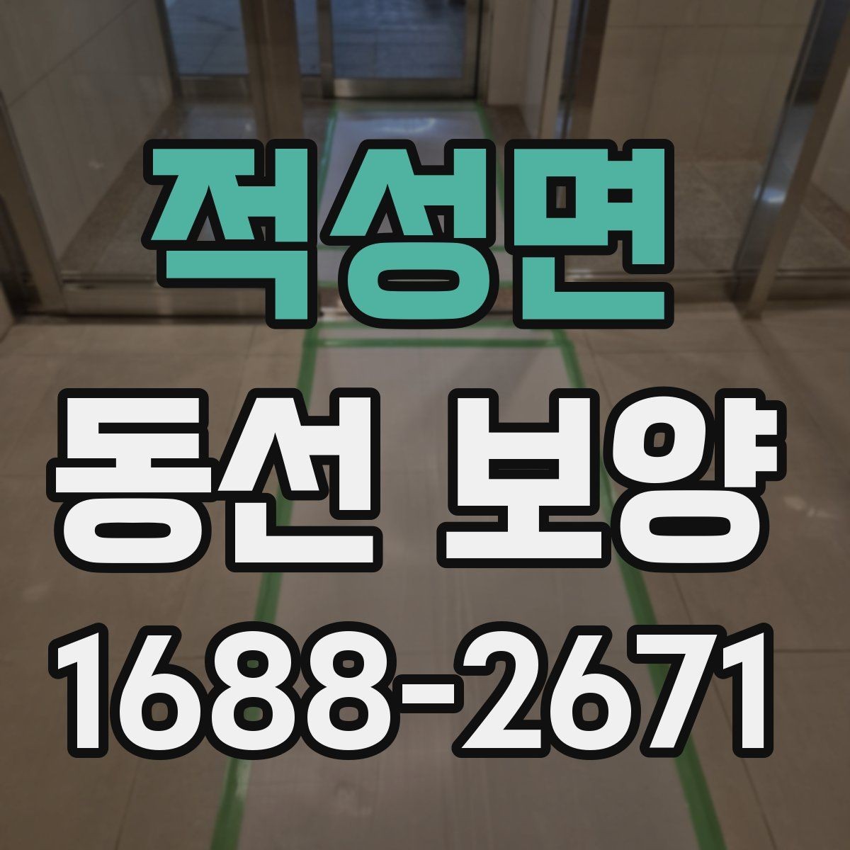 적성면 동선 보양 비용과 범위가 달라지는 상황